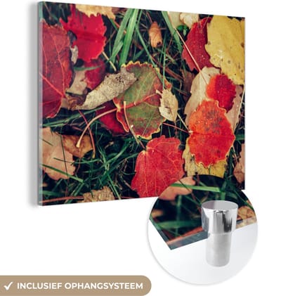 MuchoWow® Glasschilderij 40x30 cm - Schilderij acrylglas - Bladeren - November - Herfst - Natuur - Foto op glas - Schilderijen