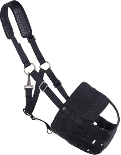 Snuit-neusgaten paardrijden - QHP dog muzzle