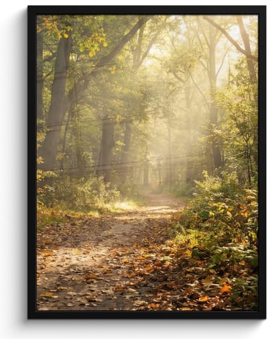 Poster in lijst - Fotolijst 60x80 cm - Posters - Zonlicht - Bospad - Bomen - Posterlijst zwart - Decoratie - Wanddecoratie woonkamer - Muurdecoratie slaapkamer
