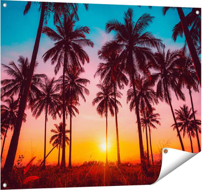 Gards Tuinposter Palmbomen op het Strand bij Zonsondergang - 100x80 cm - Tuindoek - Tuindecoratie - Wanddecoratie buiten - Tuinschilderij