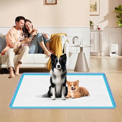 Urineopvangmat voor huisdieren 50 x 35 Inch - Lekvrije training mat voor honden, katten en konijnen - Ideaal voor vloerbescherming thuis (Blauw)