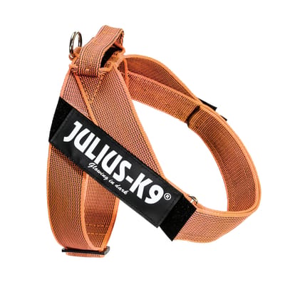 Julius-K9 IDC® Color & Grijs tuig, maat oranje/grijs L/1: Borstomtrek 63-85cm voor honden