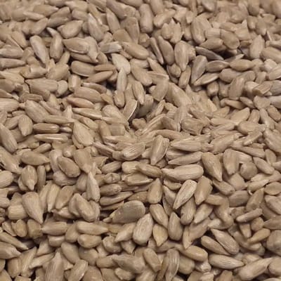 Vogro Zonnebloempitten gepeld 10KG