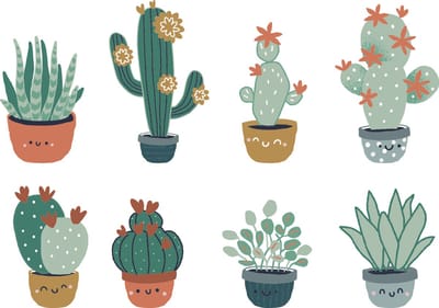 Vertbaudet Cactus-stickers
