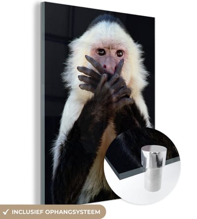 MuchoWow® Glasschilderij 120x160 cm - Schilderij acrylglas - Aap - Wilde dieren - Portret - Foto op glas - Schilderijen
