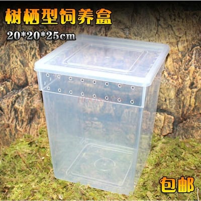 Bidsprinkhaan Kweekbak Boom Habitat Box Bidsprinkhaan Netkooi Insecten Kweekbak Huisdier Box Krekel Kweekbak Reptiel Doos
