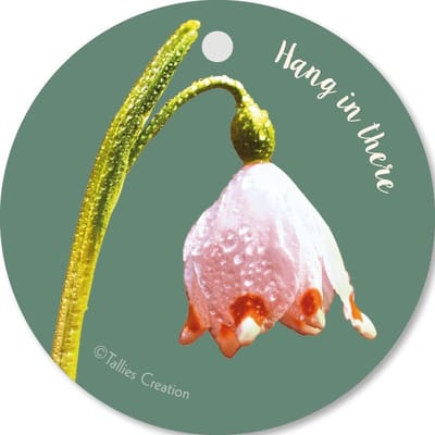 Tallies Cards - kadokaartjes  - bloemenkaartjes - Hang in there - Flowerpower - set van 5 kaarten - condoleance - deelneming - gecondoleerd - afscheid - 100% Duurzaam