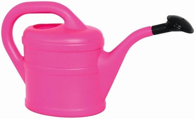 Dailygoods- Gieter 2 Liter - Kunststof - Tuingieter - Waterende Kan - Gieter voor Kamerplanten - Ideaal voor Balkonplanten - Waterkan