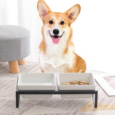 Nevolis Verhoogde Keramische Dubbele Voerbak Met Standaard voor Middelgrote Honden 2 × 1000 ml .