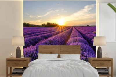 Behang - Fotobehang Lavendel - Bloemen - Zonsondergang - Paars - Breedte 280 cm x hoogte 280 cm