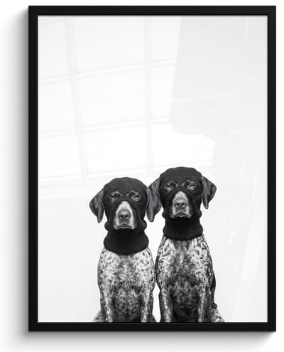 Poster in lijst - Fotolijst 60x80 cm - Posters - Honden - Bivakmuts - Zwart - wit - Posterlijst zwart - Decoratie - Wanddecoratie woonkamer - Muurdecoratie slaapkamer