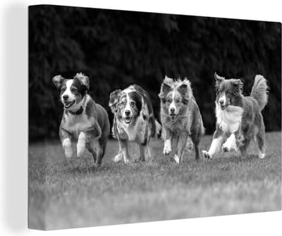 Canvas Schilderij 4 rennende honden op een rij - zwart wit - 90x60 cm - Wanddecoratie
