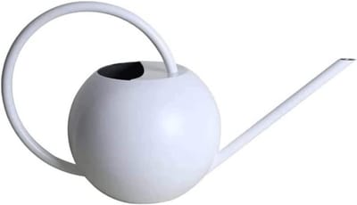 Roestvrijstalen Gieter - Waterkannetje Planten - Planten Water Geven - Lange Tuit - 1 Liter Capaciteit - Wit