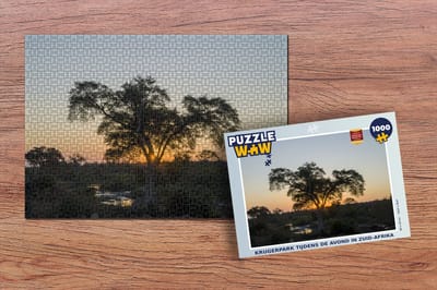 Puzzel Krugerpark tijdens de avond in Zuid-Afrika - Legpuzzel - Puzzel 1000 stukjes volwassenen