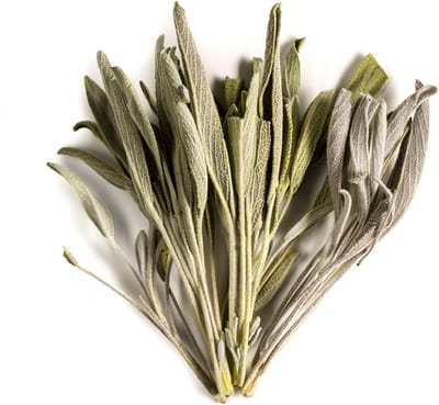 Salie Bio Kruiden Thee Blaadjes - Gourmet Kruid Direct Uit Griekenland - Sage