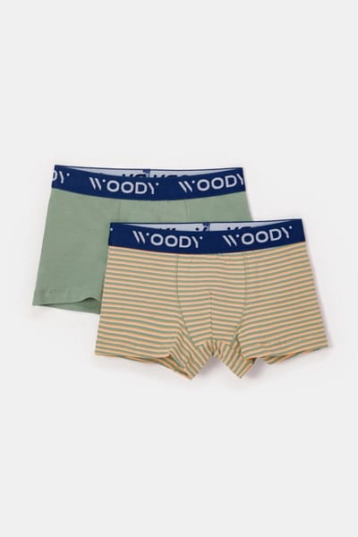 Woody duopack boxershort jongens - khaki/gestreept - 251-10-CLD-Z/011 - maat 104