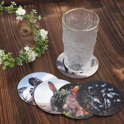 EGoods - Dieren Onderzetters (6 stuks) - Grappige Dieren - Bureau Decoratie - Houten Ronde Onderzetters - Bescherm Tafel - Kleurrijk - Cadeau