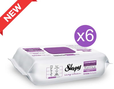 Sleepy Easy Clean Reinigingsdoekjes Orchidee – 6 x 100 Stuks – 600 Multifunctionele Vochtige Schoonmaakdoekjes voor Alle Oppervlakken - Yuzey Temizleme Mendili Orkide Cicegi - Surface cleaning wipe orchid flower