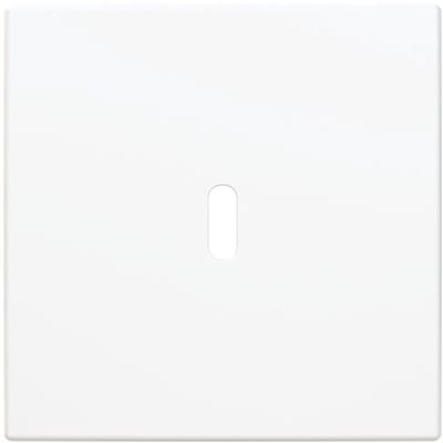 Busch-Jaeger Centrale plaat USB-laadstation 1-voudig met USB C-aansluiting alpinewit - Busch-balance® SI (6479-914), 2CKA006400A0441