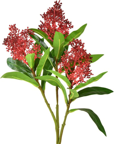 Kunstbloemen Rood Skimmia japonica Skimmie 45cm 2st