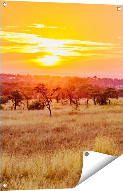 Gards Tuinposter Zonsondergang in de Savanne - 60x80 cm - Tuindoek - Tuindecoratie - Wanddecoratie buiten - Tuinschilderij