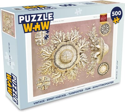 Puzzel Vintage - Ernst Haeckel - Kwal - Kunst - Legpuzzel - Puzzel 500 stukjes
