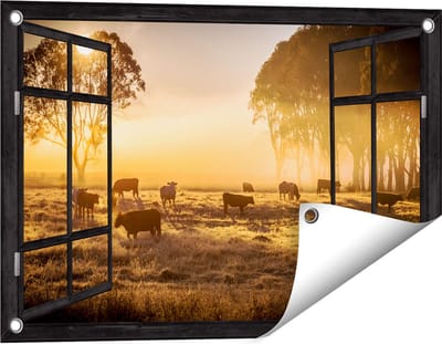 Gards Tuinposter Doorkijk Kudde Koeien in de Wei met Zonsopkomst - 60x40 cm - Tuindoek - Tuindecoratie - Wanddecoratie buiten - Tuinschilderij