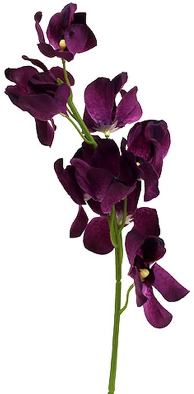 Mokara orchidee paars 50cm kunst 6st, 6 Stück