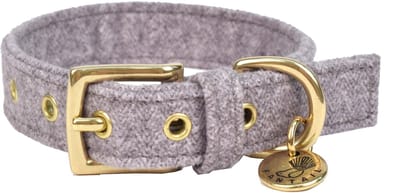 Fantail Halsband Støv Lichtgrijs - Hondenhalsband - 40 cm