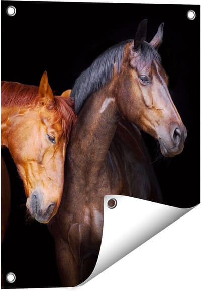 Gards Tuinposter Twee Bruine Paarden Koppel - Liefde - 40x50 cm - Tuindoek - Tuindecoratie - Wanddecoratie buiten - Tuinschilderij