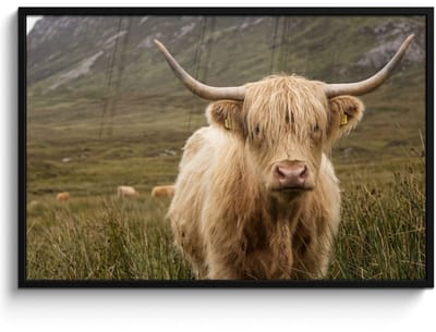 Poster in lijst - Fotolijst 120x80 cm - Posters - Schotse hooglander - Bergen - Grasveld - Posterlijst zwart - Decoratie - Wanddecoratie woonkamer - Muurdecoratie slaapkamer