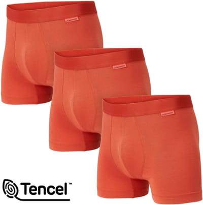 Undiemeister Boxershorts Heren - 3-Pack - Naadloos Ondergoed - Onderbroeken - Tencel - Canyon Dust (Oranje) - Maat S