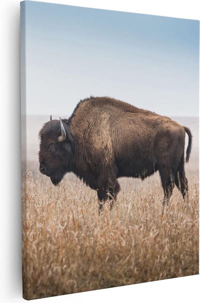 Artaza Canvas Schilderij Buffel - 40x50 cm - Wanddecoratie Wilde Dieren - Muurdecoratie Natuur - Kamer Accessoires Landschap
