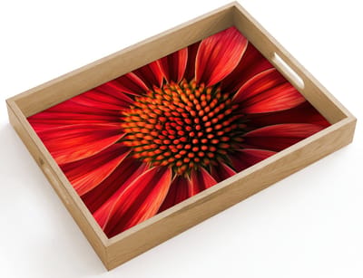 Dienblad hout 40x30 cm - Schootdienblad - Close up - Bloem- Rood - Borrelplank rechthoek - Plateau dienbladen