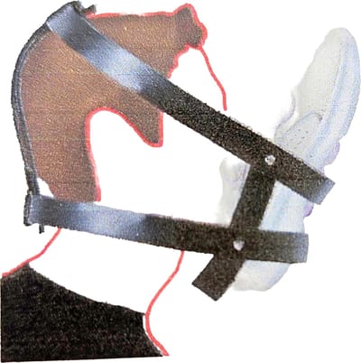 BNDGx® - BDSM voet fetish - Dominance strap schoen bondage set