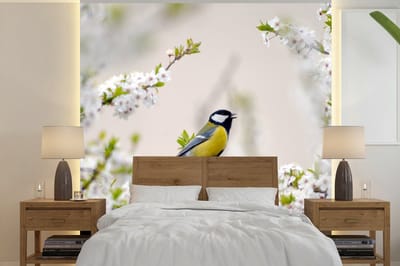Behang - Fotobehang Vogel - Koolmees - Bloemen - Bloesemboom - Breedte 280 cm x hoogte 280 cm