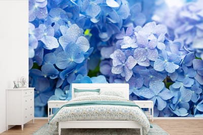 Behang - Fotobehang Hortensia - Waterdruppel - Bloemen - Botanisch - Blauw - Breedte 330 cm x hoogte 220 cm