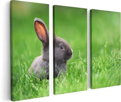 Artaza Canvas Schilderij Drieluik Konijn In Het Gras - 120x80 - Foto Op Canvas - Canvas Print