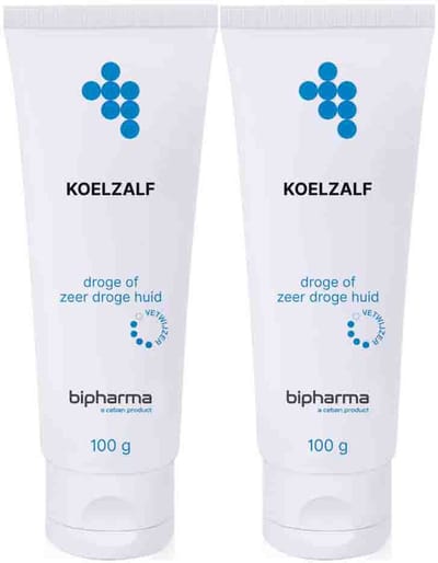 Bipharma Koelzalf Tube Los - 2 x 100 gr - Voordeelverpakking