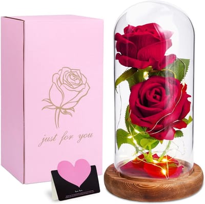 Eeuwige Rozen in Glazen Koepel met LED - Romantisch Cadeau voor Vrouwen - Perfect voor Moederdag, Jubileum, en Valentijn