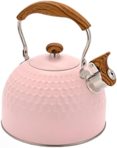 Waterketel Fluitketel - Theepot Fornuis - Snel Water Koken - Roestvrij Staal - 19x22.5cm - Roze