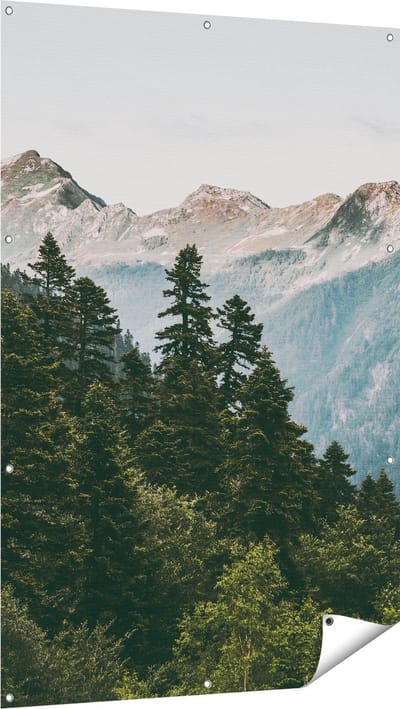 Gards Tuinposter Bos met Bomen in de Bergen - 100x150 cm - Tuindoek - Tuindecoratie - Wanddecoratie buiten - Tuinschilderij