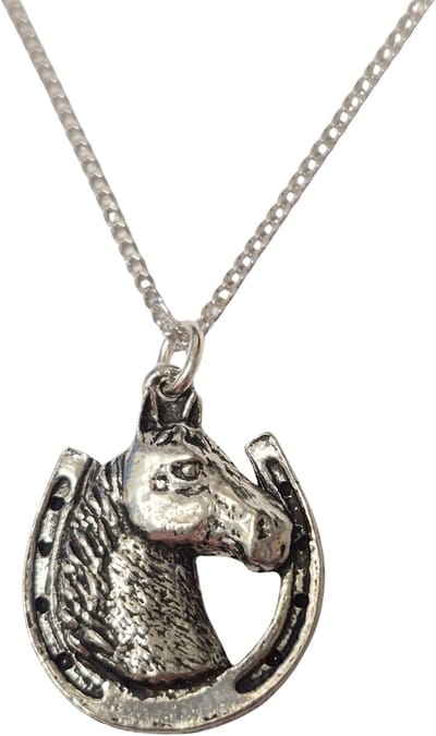 Hanger Hoefijzer Paard Gelukshanger Paardenhoofd + Ketting Zilver 50 cm (Heren) Paardenhanger Geluk