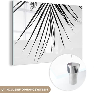 MuchoWow® Glasschilderij 150x100 cm - Schilderij acrylglas - Palm - Zomer - Bladeren - Tropical - Foto op glas - Schilderijen