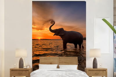 Behang - Fotobehang Olifant - Zee - Dieren - Zonsondergang - Oranje - Breedte 225 cm x hoogte 350 cm