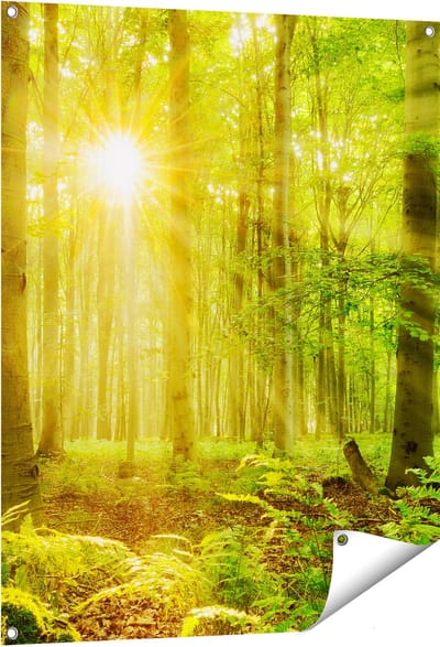 Gards Tuinposter Groen Bos met Schijnende Zonnestralen - 80x100 cm - Tuindoek - Tuindecoratie - Wanddecoratie buiten - Tuinschilderij