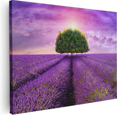 Artaza Canvas Schilderij Lavendelveld - 40x30 cm - Klein - Wanddecoratie Boom - Muurdecoratie Natuur - Kamer Accessoires Landschap - Paars