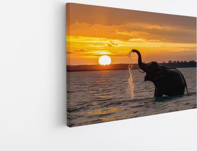 Saammp Canvas Schilderij - Spelende Olifant in het water - Dieren - 45x30 - Foto op canvas - Wanddecoratie - muurdecoratie Woonkamer - Slaapkamer decoratie - Canvas Print