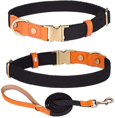 Allecto - Nylon halsband - Verstelbaar en ademend - Zwart - Veiligheidsgesp en riem set - Geschikt voor kleine middelgrote grote honden