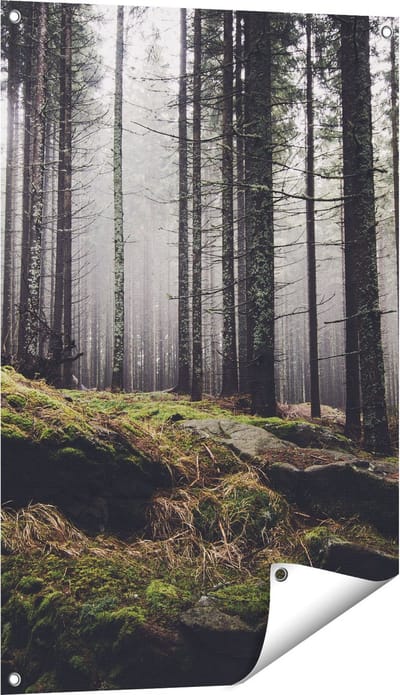 Gards Tuinposter Bos met Mos op Rotsen - 60x90 cm - Tuindoek - Tuindecoratie - Wanddecoratie buiten - Tuinschilderij